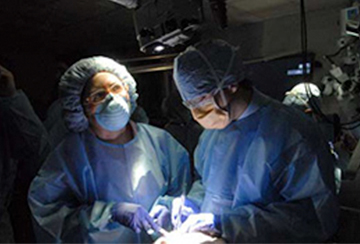 Weill Cornell Medicine Continuing Neurosurgical Education